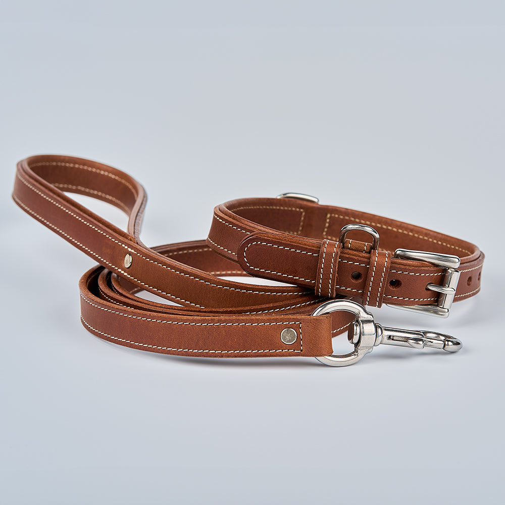 The Kodak Bison Collar by Hanks Belts—a brown bison leather dog collar with white stitching and silver hardware—is shown with its matching leash on a light gray background.