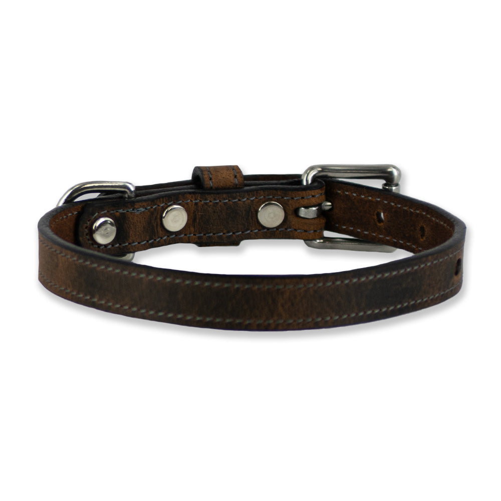 The Hanks Belts Ollie Bison Collar showcases premium bison leather with stainless steel hardware, metal buckle, rivets, and adjustment holes on a white background.